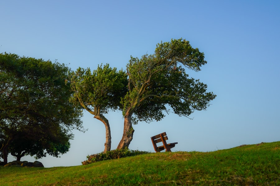 Photo Empty bench