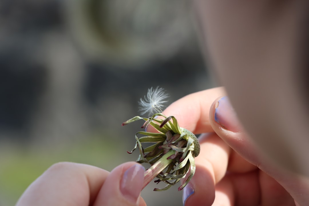 Photo remembering dreams