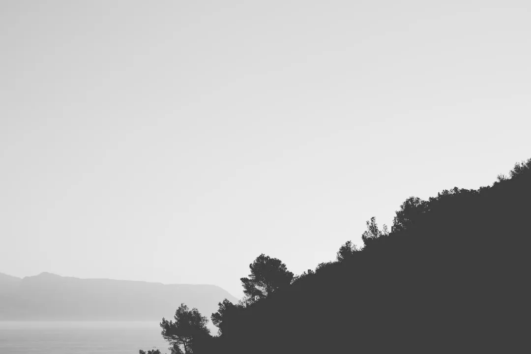 Photo dreams