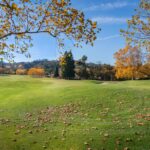 Secretele oamenilor puternici: Puterea nu vine din fizic, ci din vointa si determinare – Arnold Schwarzenegger