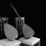 Familia și originea instrumentelor muzicale tradiționale: Ghid complet