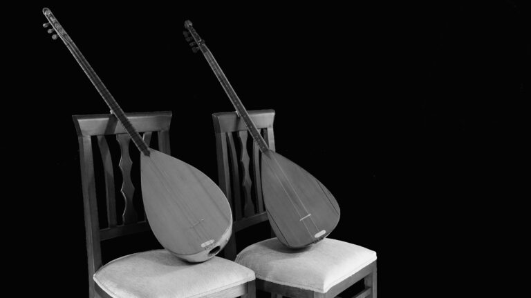 Familia și originea instrumentelor muzicale tradiționale: Ghid complet