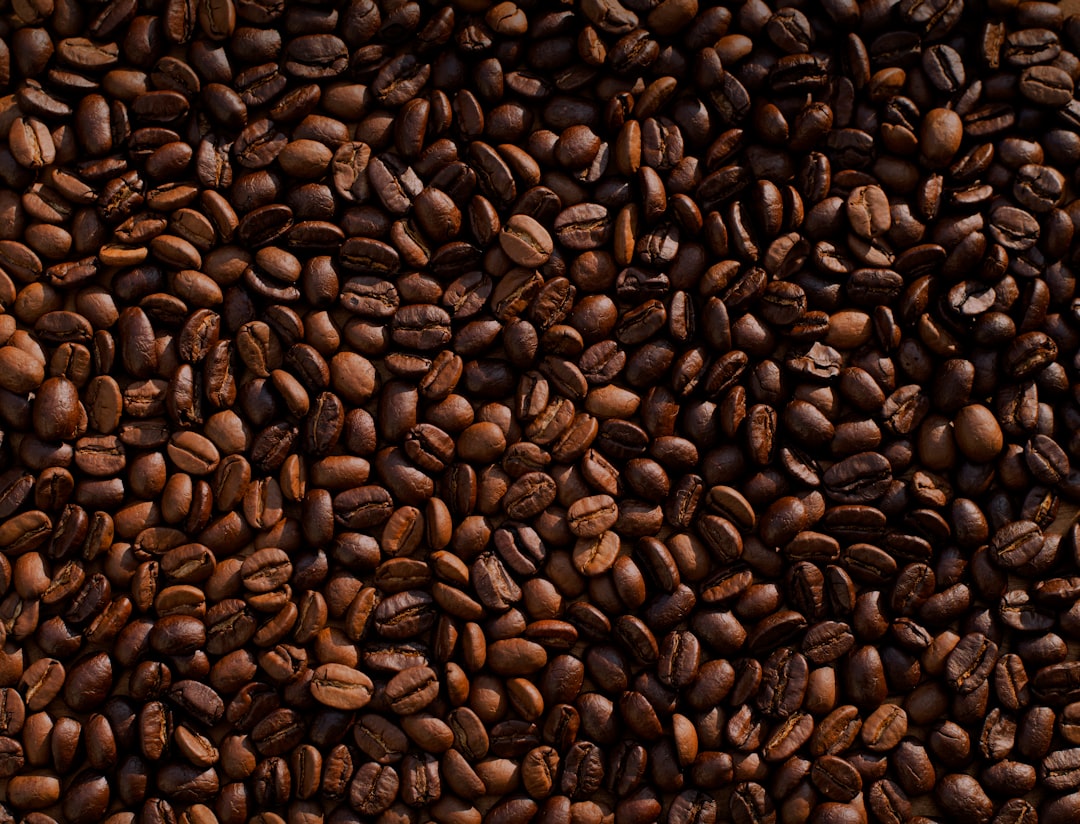 Photo organic coffee benefits