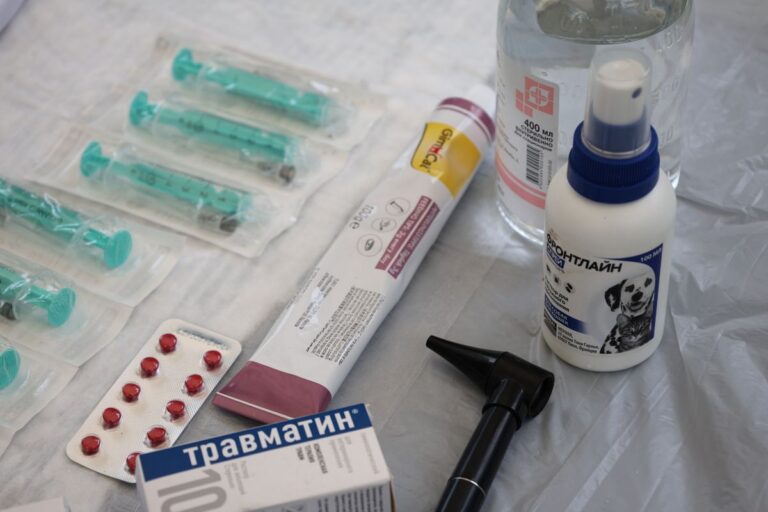Cum îți menții sănătatea dentară între vizitele la stomatolog