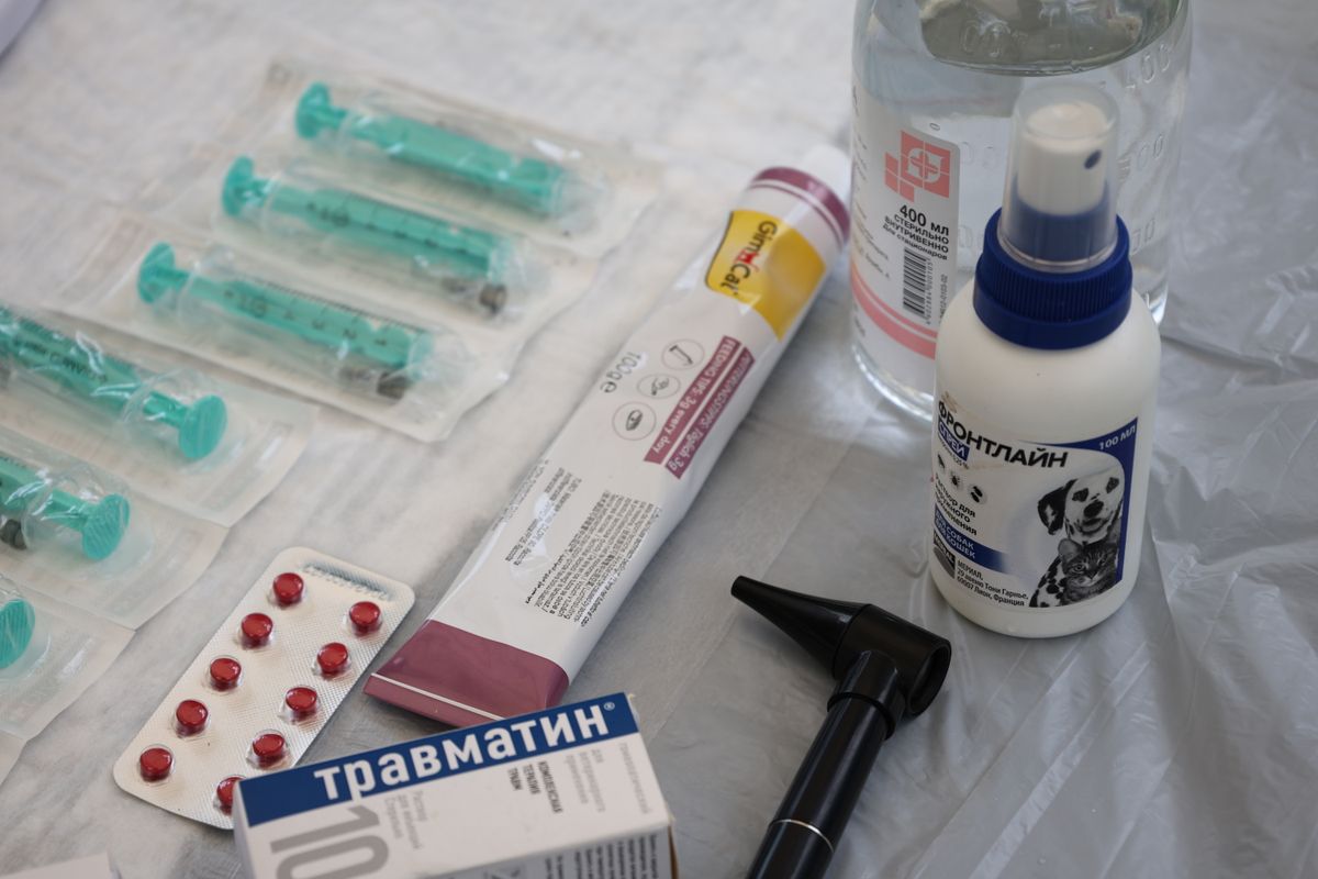 Cum îți menții sănătatea dentară între vizitele la stomatolog