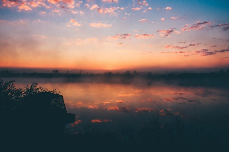 Photo morning quietness