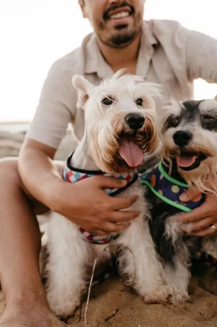 Beneficiile terapeutice ale companiei unui animal de companie — Cafe Therapy
