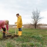 Grup de voluntari care plantează copaci tineri într-un parc, într-o dimineață de weekend