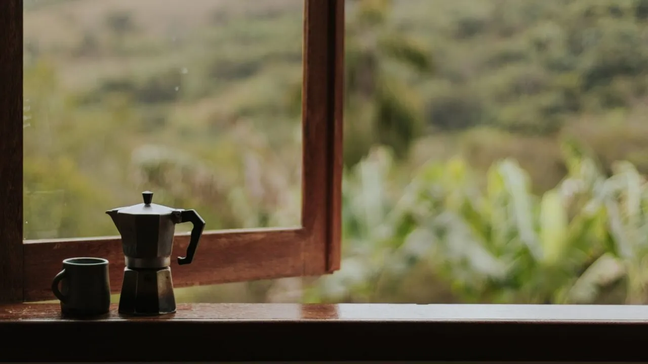 Ceașcă de cafea pe pervazul unei ferestre luminoase, lângă câteva plante verzi, într-o dimineață liniștită