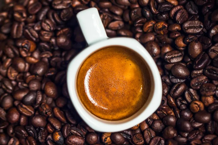 Photo types of coffee analysis research recommendations