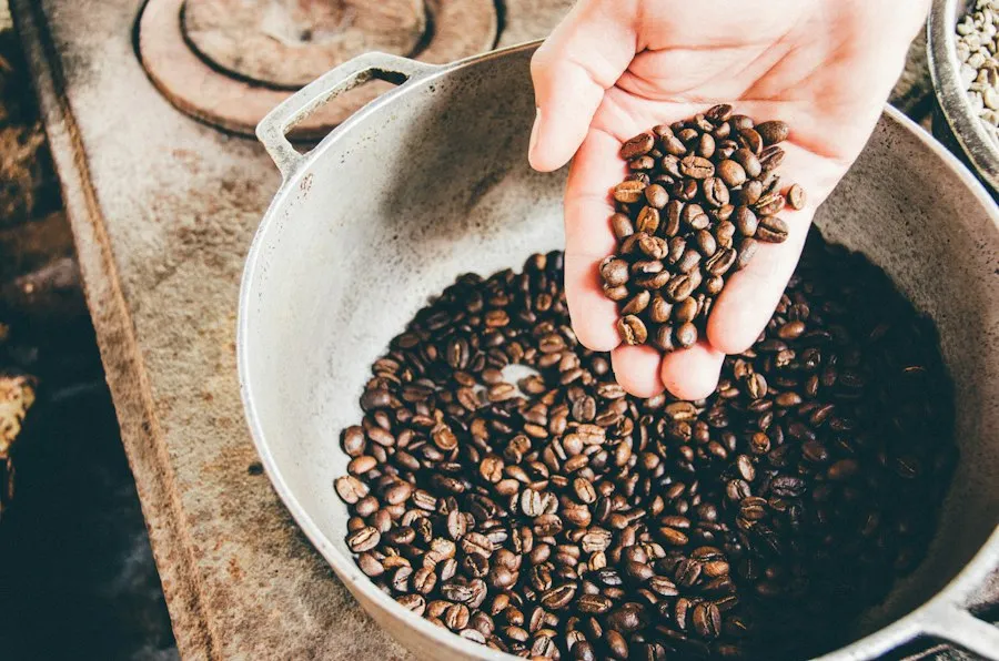 specialty coffee guide